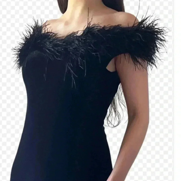 Jeffery and Dara Black Velvet Ostrich  Feather Evening Gown - Picture 3 of 5